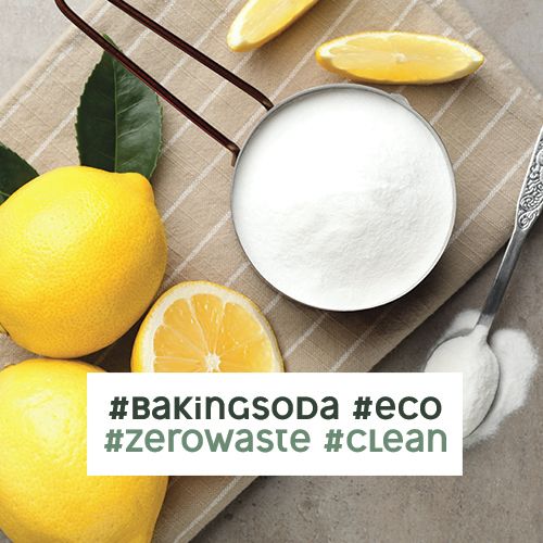 13 Easy Hacks To Remove Dog Smell From House The Goody Pet