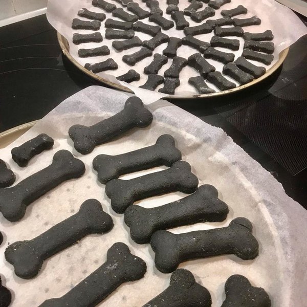 Activated Charcoal For Dogs What Does It Do? Is It Safe? The Goody Pet