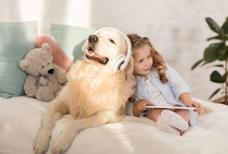 Why Do Dogs Lean Against Your Legs