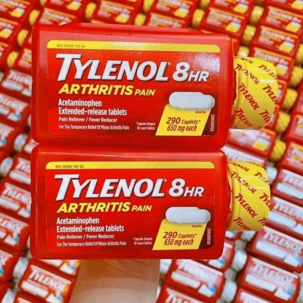 Can Dogs Take Acetaminophen? Is Tylenol The Goody Pet