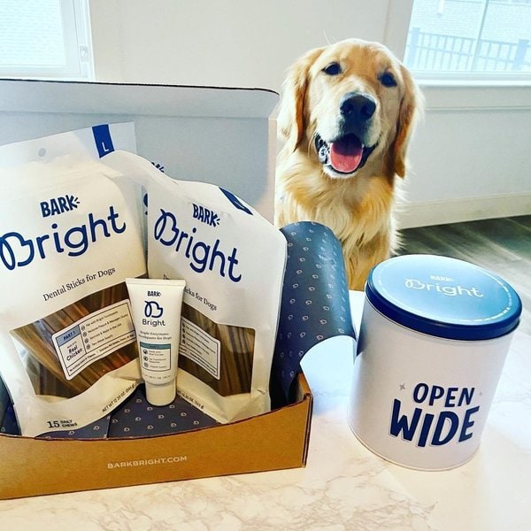 BARK Bright Review Is It Worth It? (November 2022 Reviews) The