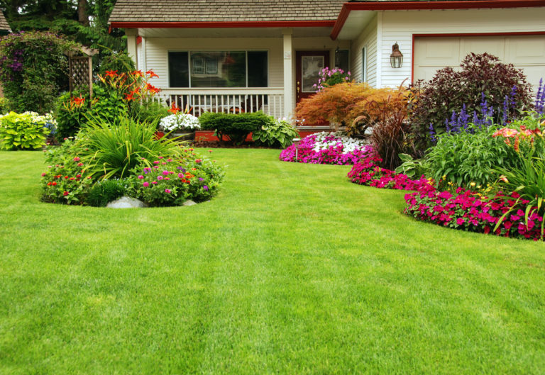 Spring Lawn Maintenance A Complete Guide of Spring Lawn Care Tips