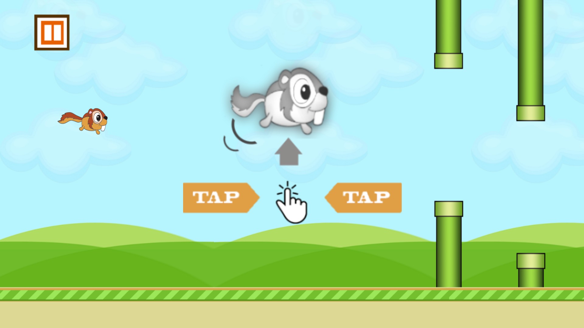 Squirrel Runner