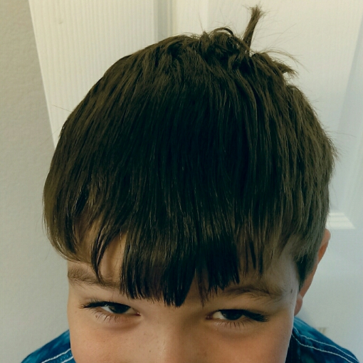Haircuts for insomniacs Charlotte Hilton Andersen