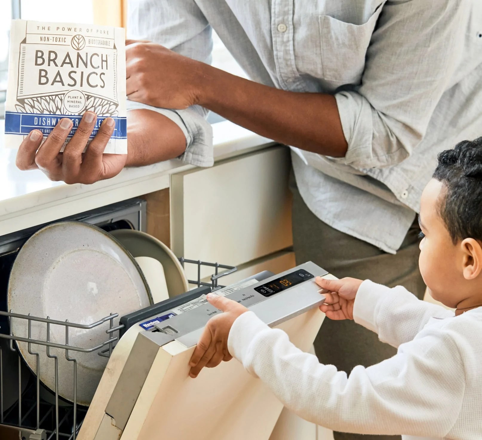 Branch Basics Dish Tabs The Green Design Center