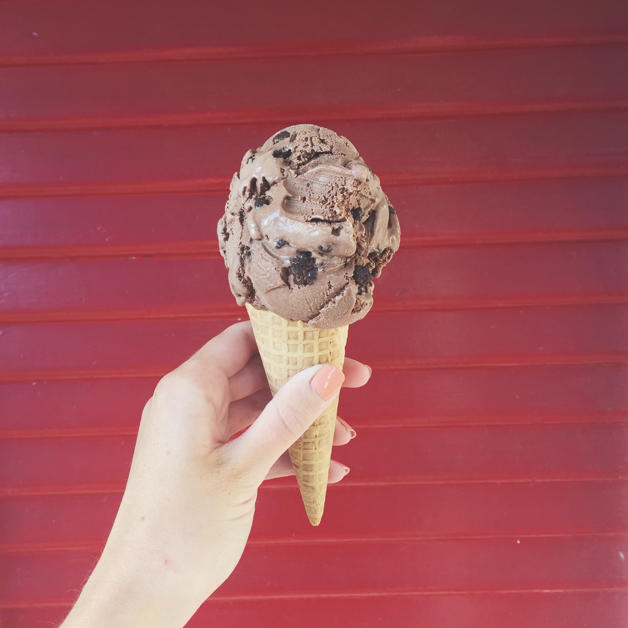 Top 5 Essential Ice Cream Spots in Grand Rapids The GR Guide