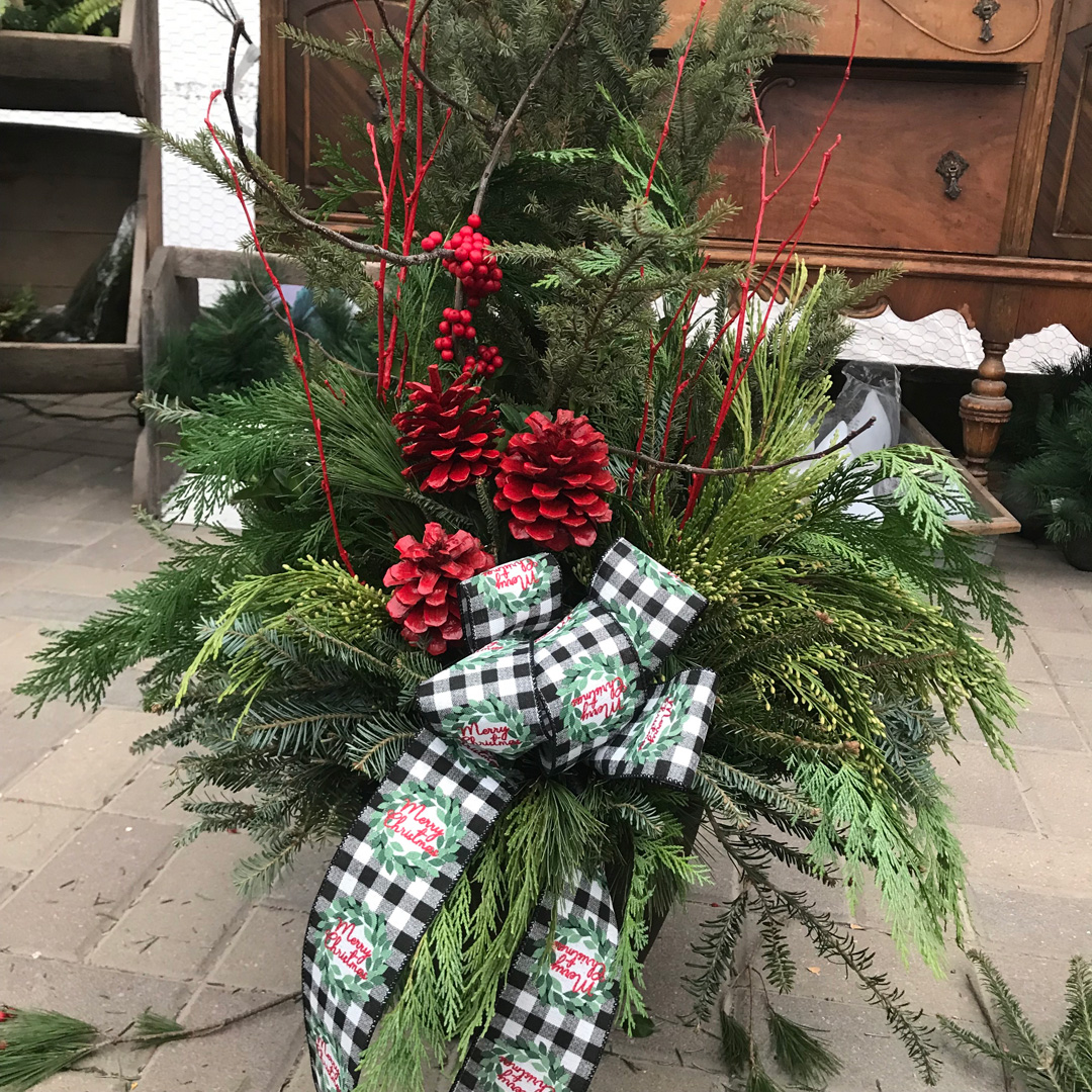 DIY Winter Greens Porch Pot The Growing Place