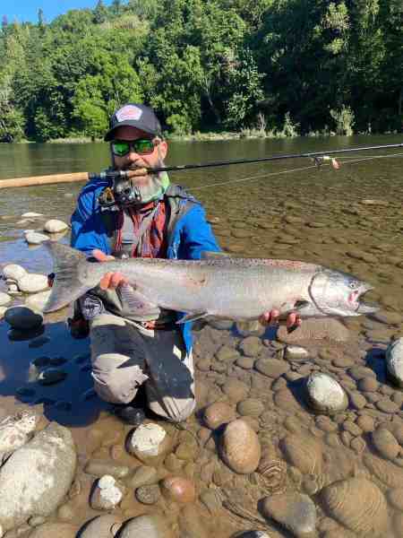 A metro area river spring Chinook caught on a spinner this week.