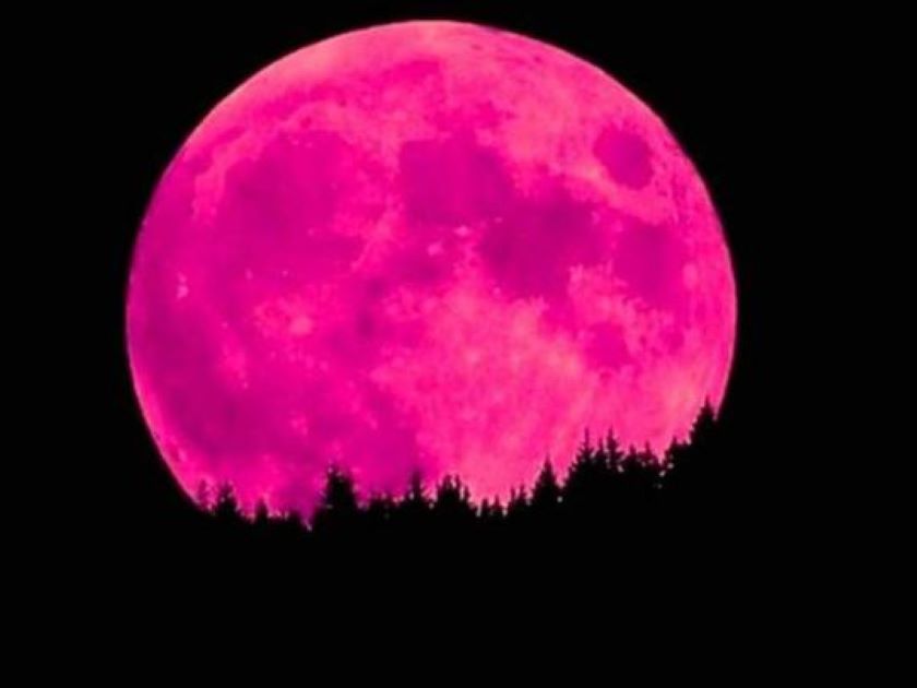 Ritual for April's Full Pink Moon Manifesting Your Dreams