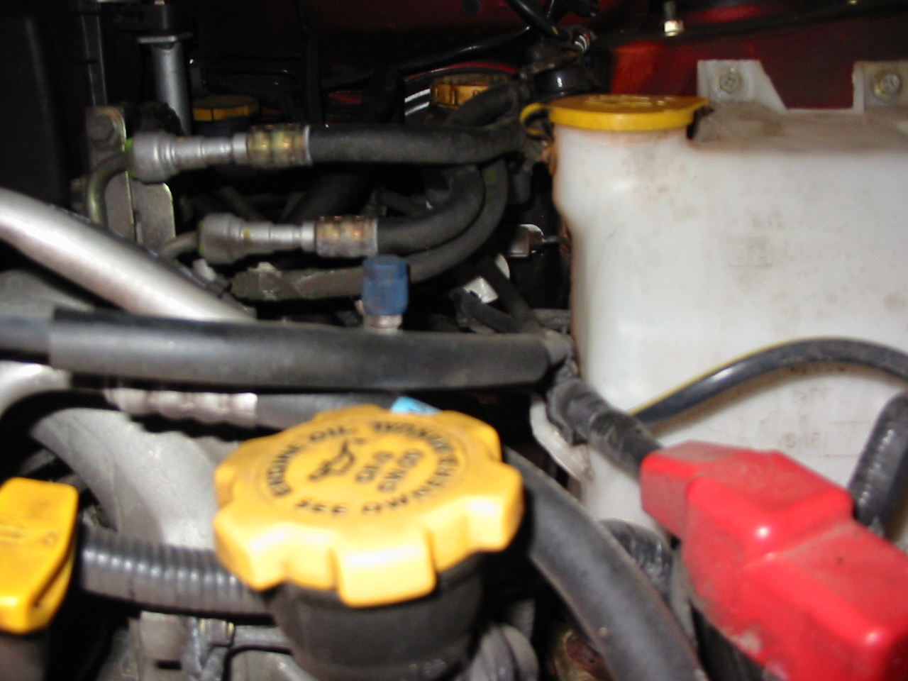 2004 Fuel Filter NASIOC