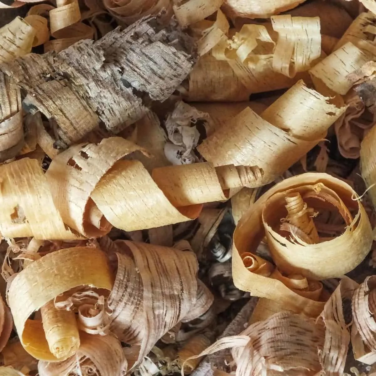 10 Clever Uses for Sawdust The Handyman's Daughter