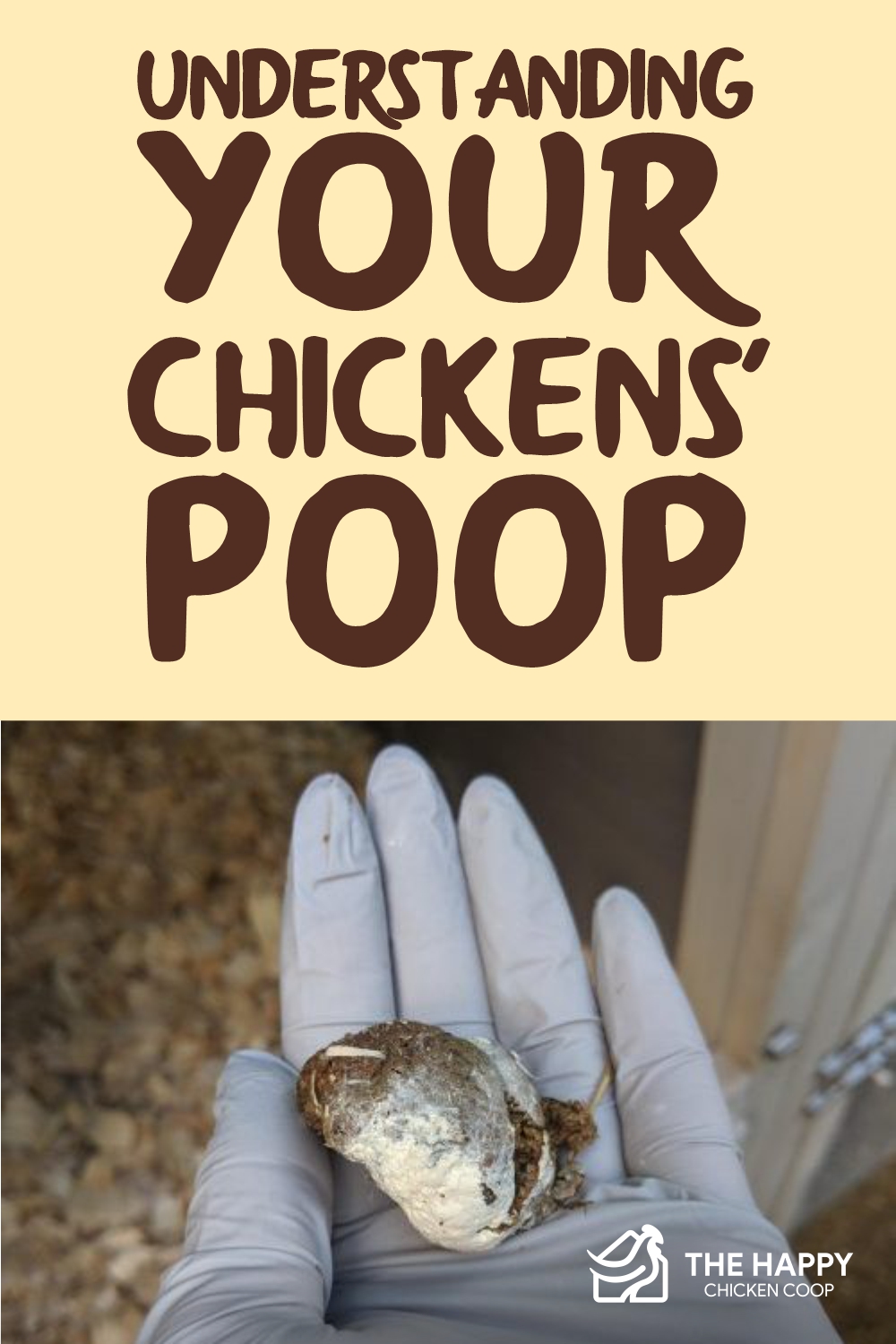 Understanding Your Chickens’ Poop The Happy Chicken Coop