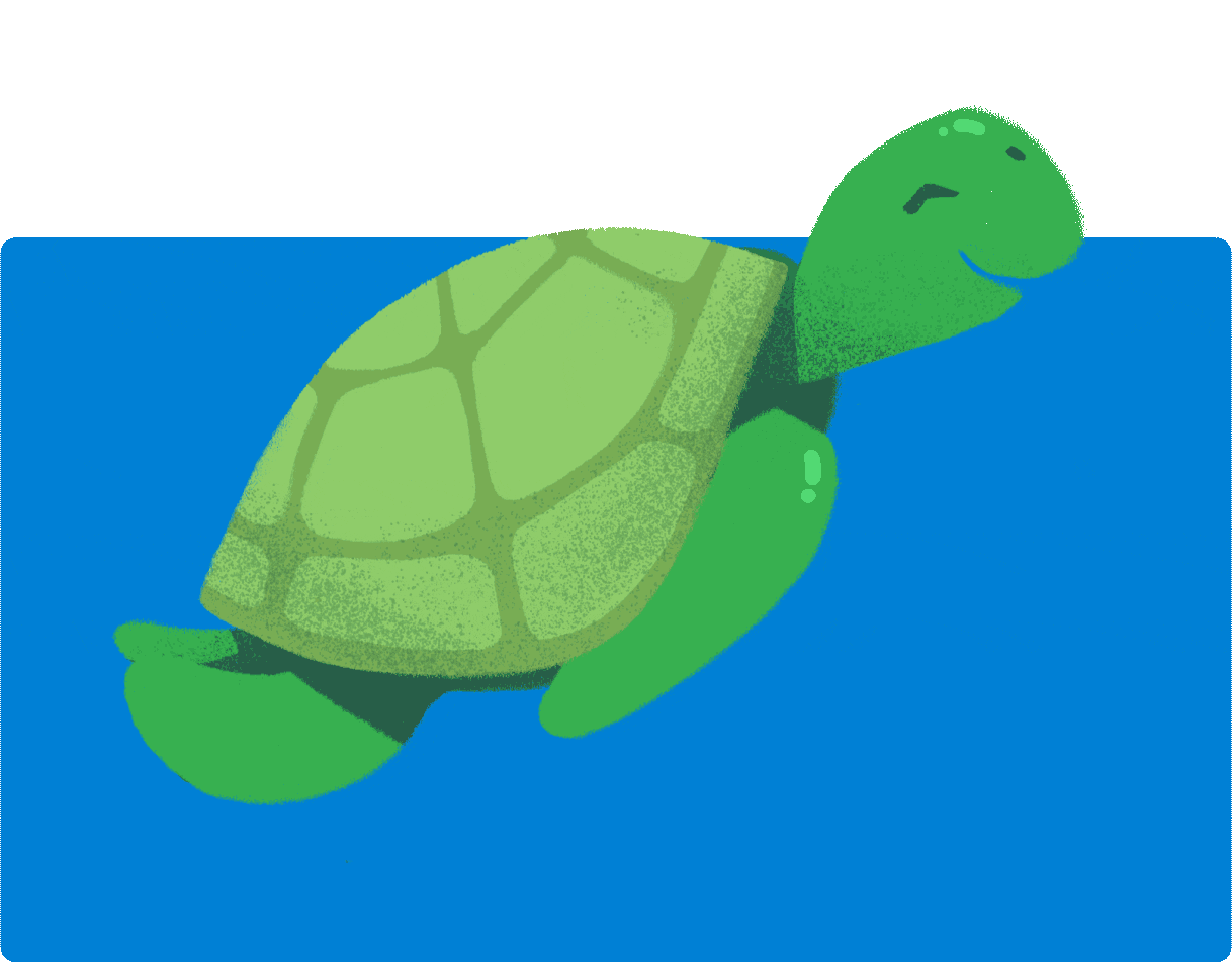 Excited Turtle Gif