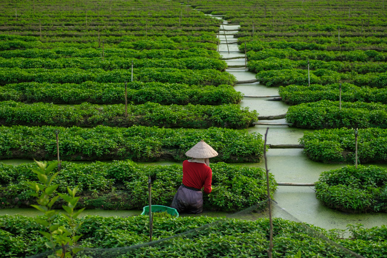 Top 5 Innovative Ideas That Reduce Water Pollution The Happy Turtle Straw