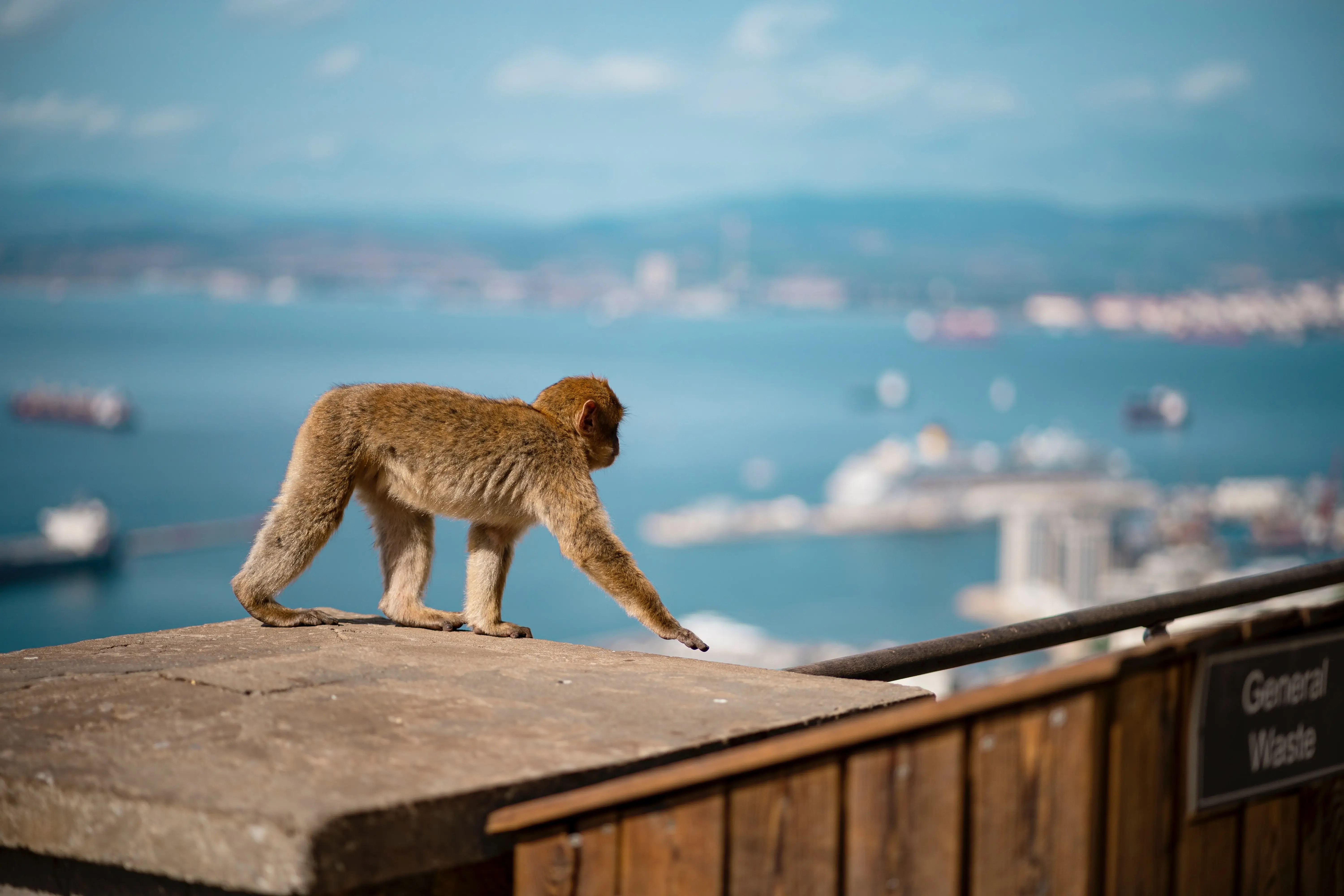 Top 10 Things To Do In Gibraltar The Hendrix Blog