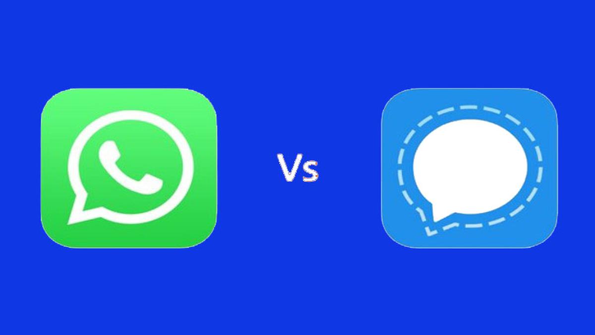 I still want to use my talent and develop more ideas as time goes by which ill work on it. How Different Is Signal From Whatsapp The Hindu