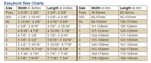 Easyboot cloud size chart - poispeed