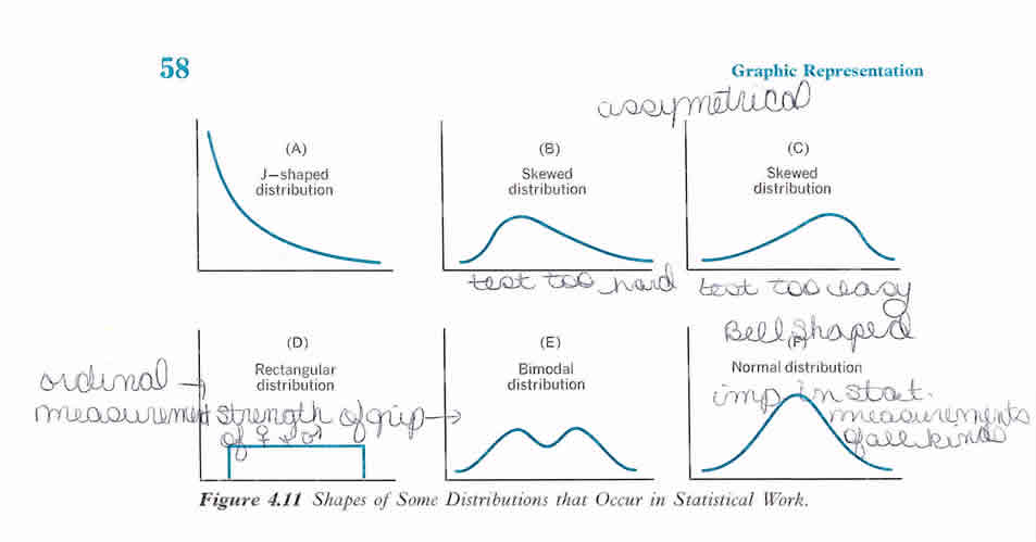 Frequency distribution examples with charts and graphs; Central
