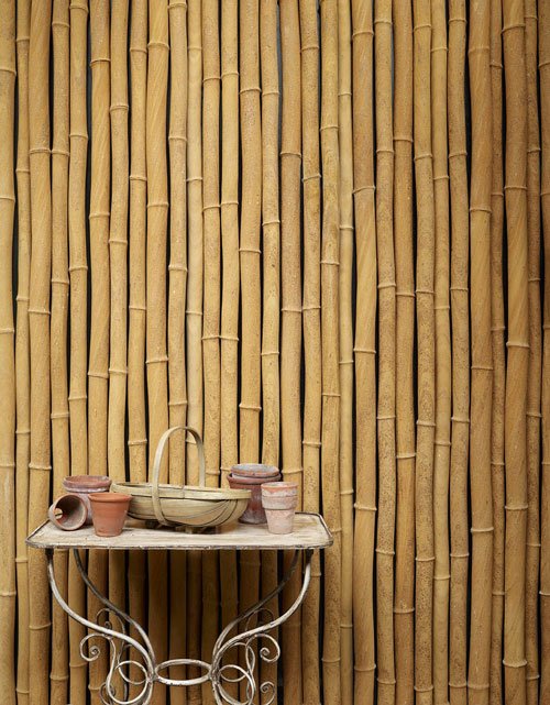 Fauxbamboo The House Directory