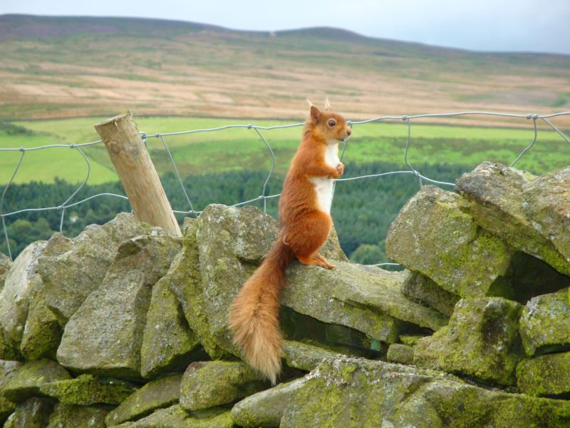 The Hytte, Accessible selfcatering holiday cottage in Northumberland