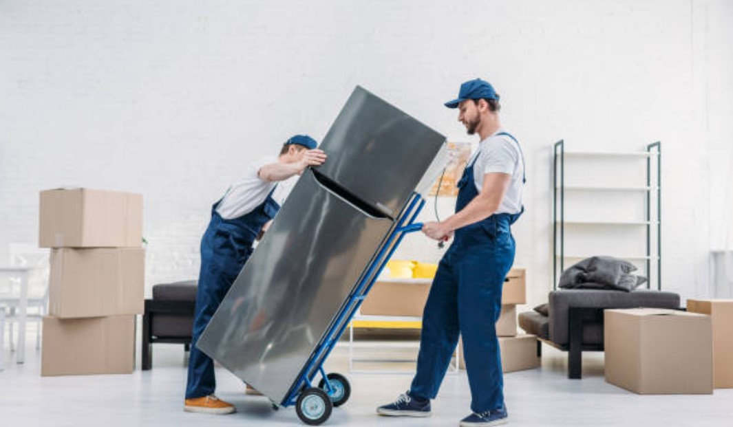 Can You Transport a Refrigerator on Its Side? The Indoor Haven