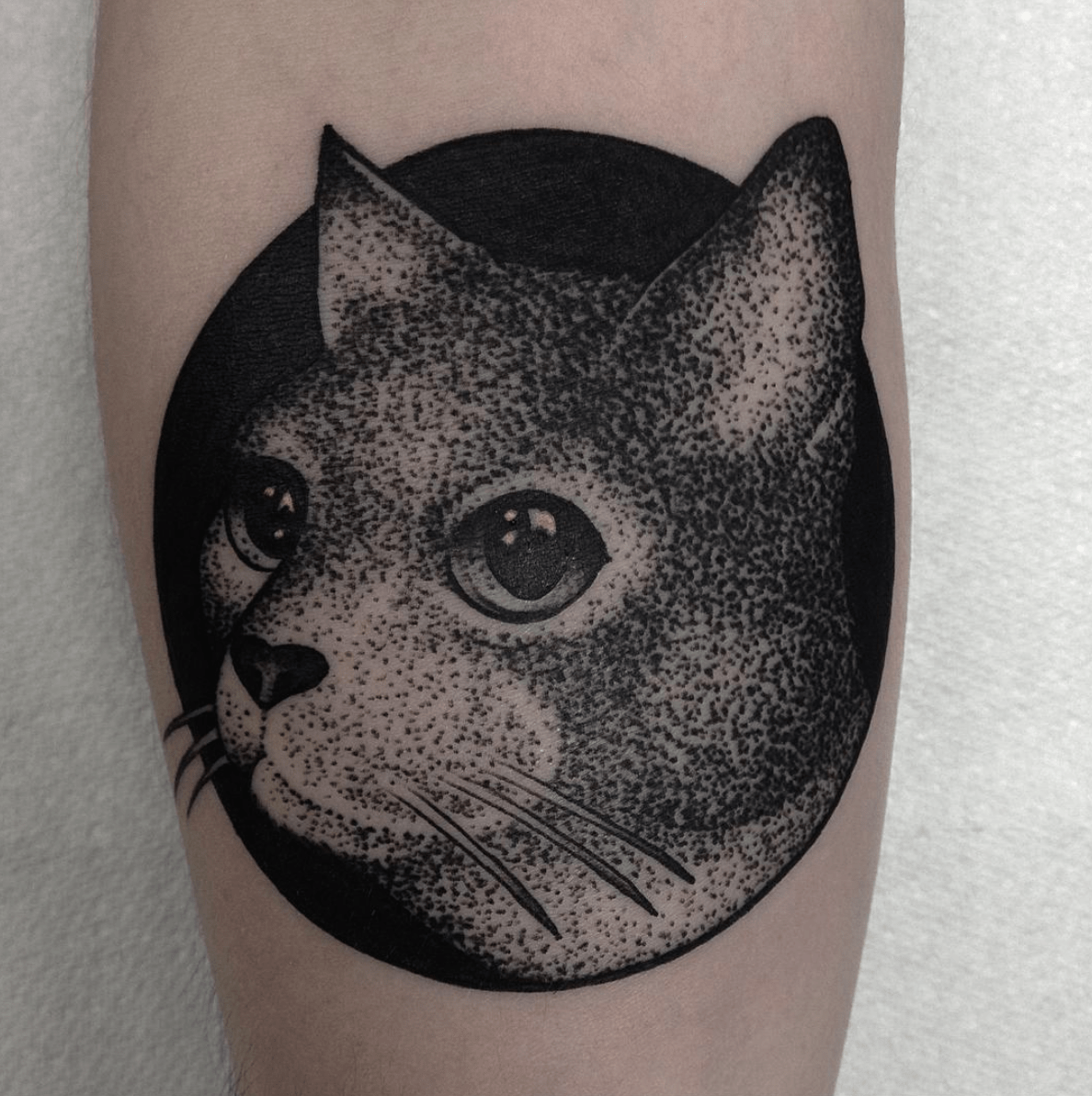 Cat Tattoos | The Ink Factory 1192_x_1188_png