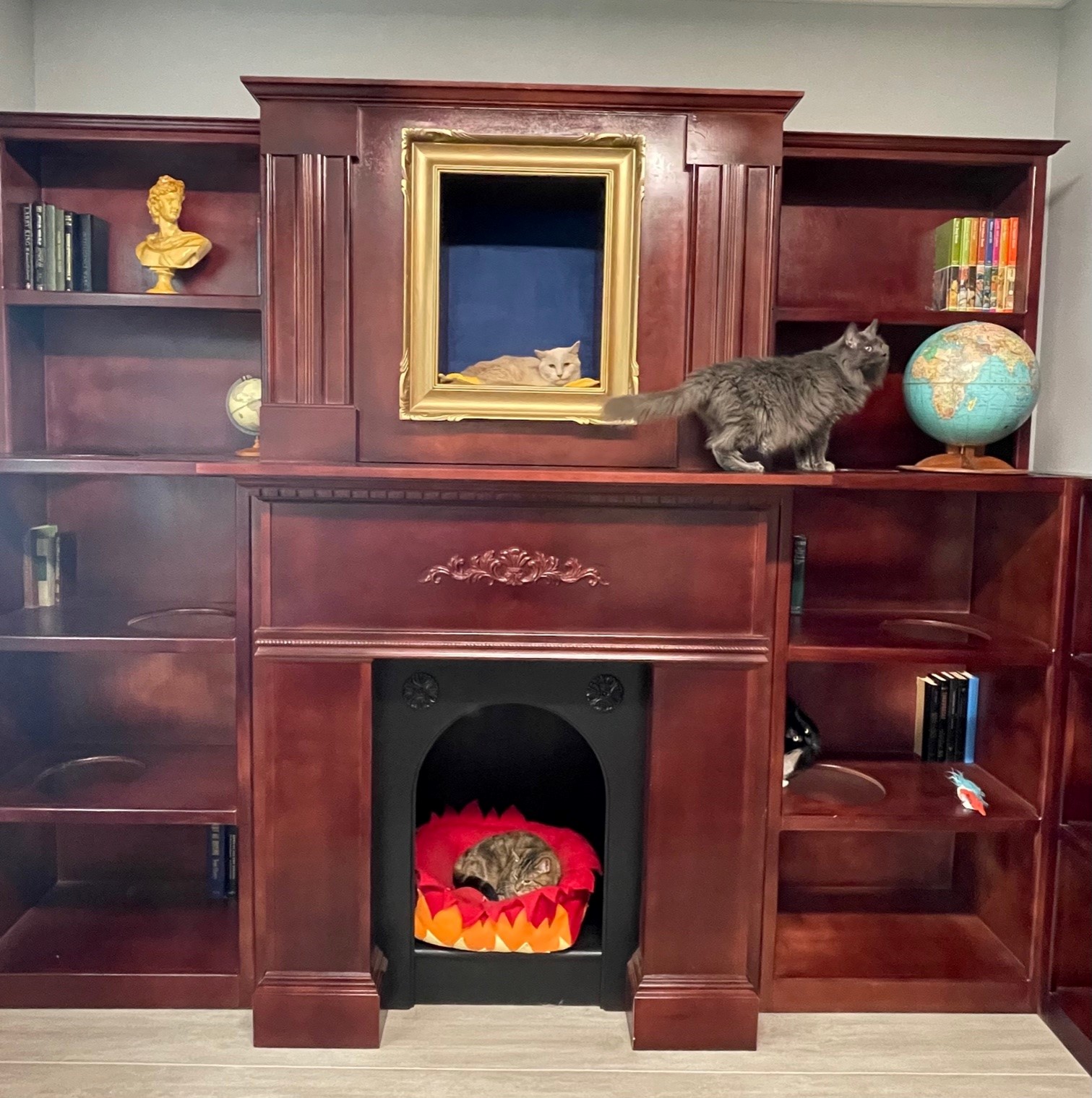 SPCA Westchester Opens Doors to NEW 9 MillionDollar Animal Rescue