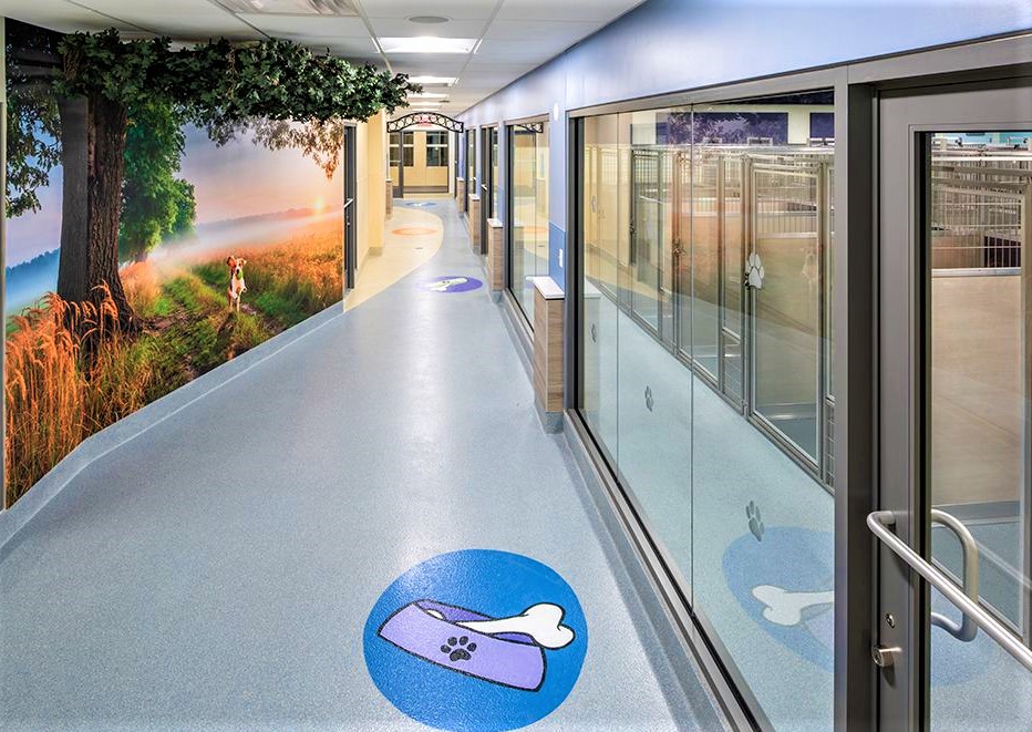 SPCA Westchester Opens Doors to NEW 9 MillionDollar Animal Rescue