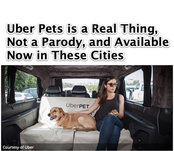 UberPET for Uber Pets is a Real Thing Not a Parody Available Now in