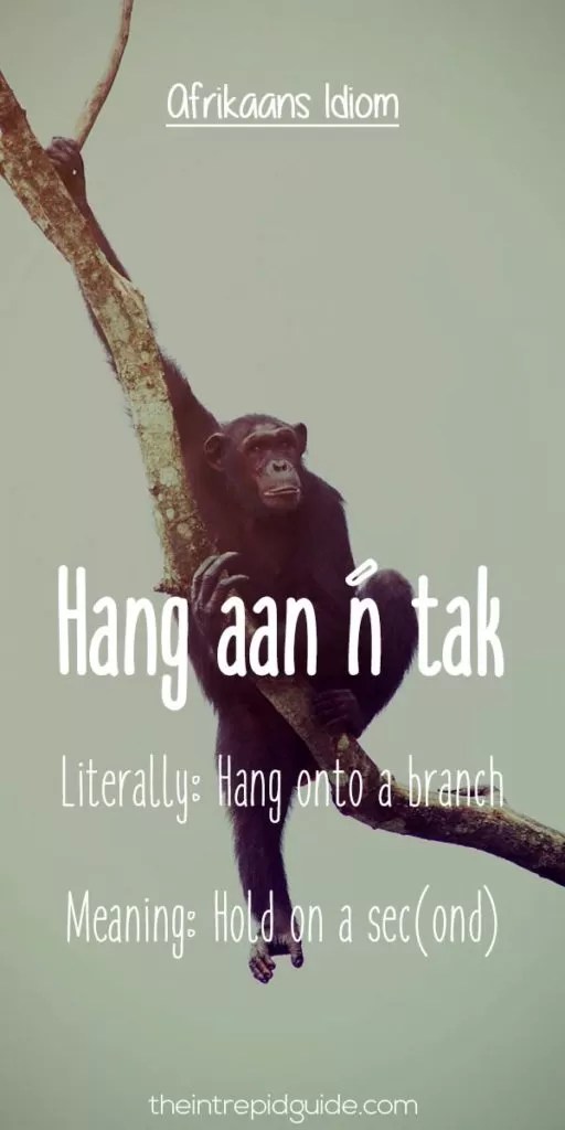 25 Hilarious Afrikaans Idioms That Should Exist in English