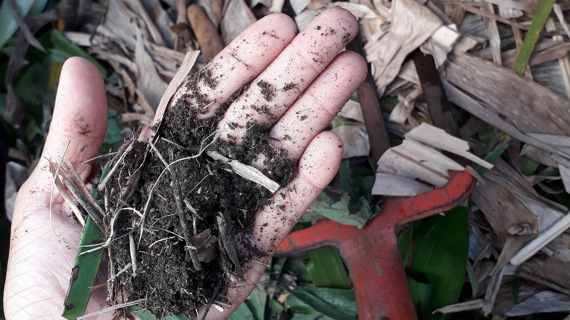 A simple way to prevent heaps of methane pollution composting The Invading Sea