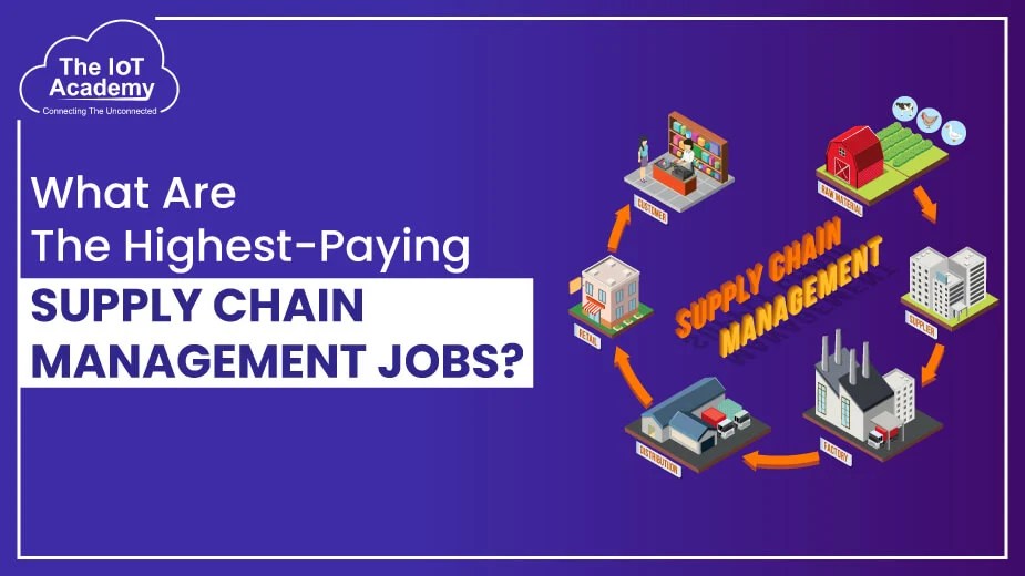 What Are The HighestPaying Supply Chain Management Jobs? The IoT Academy