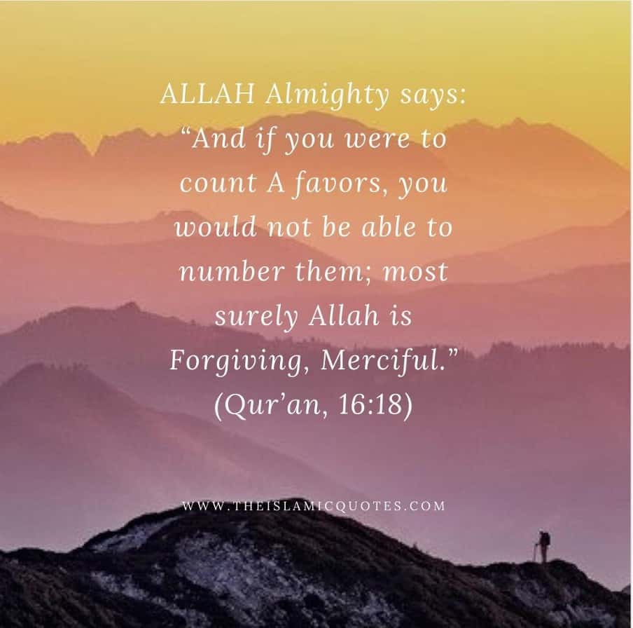 8 Greatest Blessings of Allah That We Need To Be Grateful For