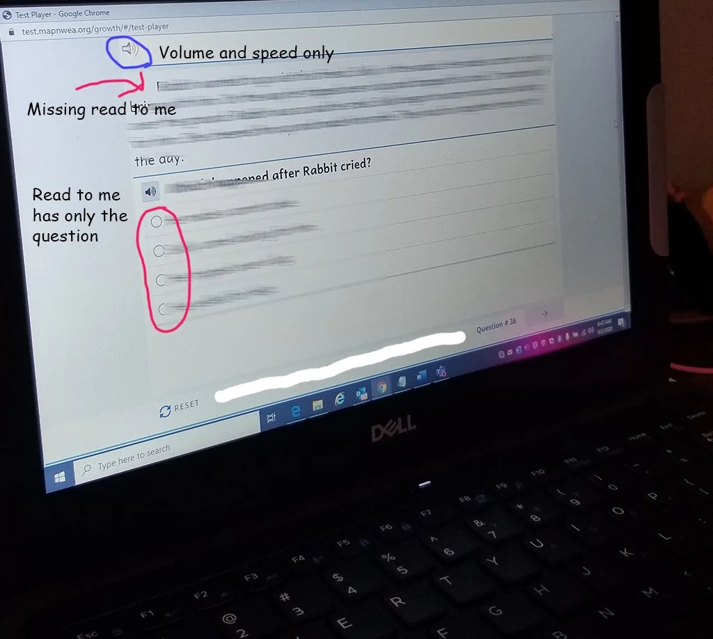 A month into remote learning, trials and triumphs Pocketables