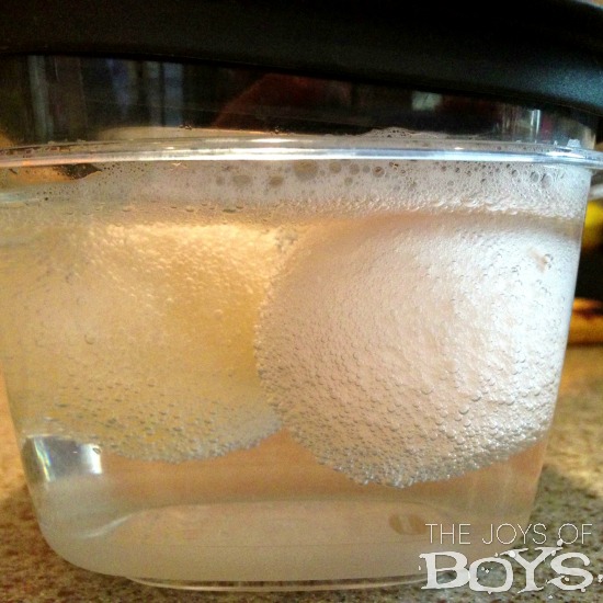 Bouncing Egg Experiment Simple Science