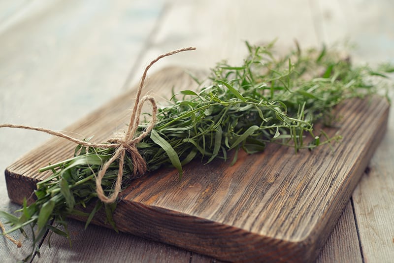 What is Tarragon? The Kitchen Magpie