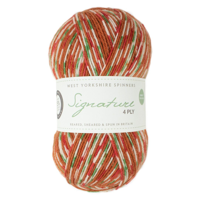 WYS Signature 4 ply Christmas Sock Yarns — Knitting Squirrel