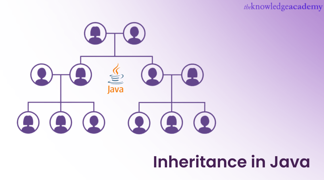 Guide to Inheritance in Java with Example