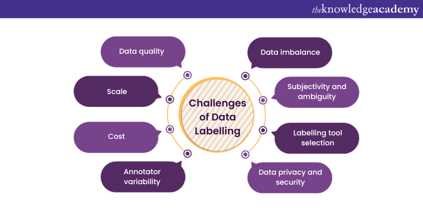 What is Data Labeling and How Does it Work?
