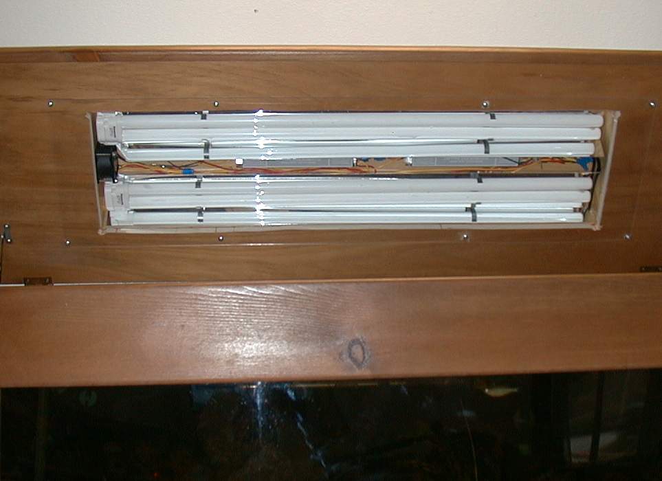 DIY Compact Fluorescent Aquarium Lighting