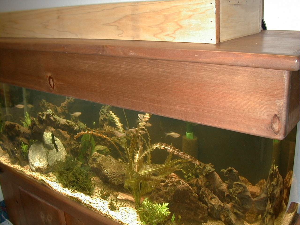 DIY Compact Fluorescent Aquarium Lighting