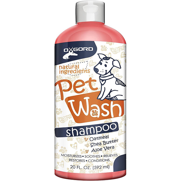 The Best Dog Shampoo For Labradors Reviews and tips