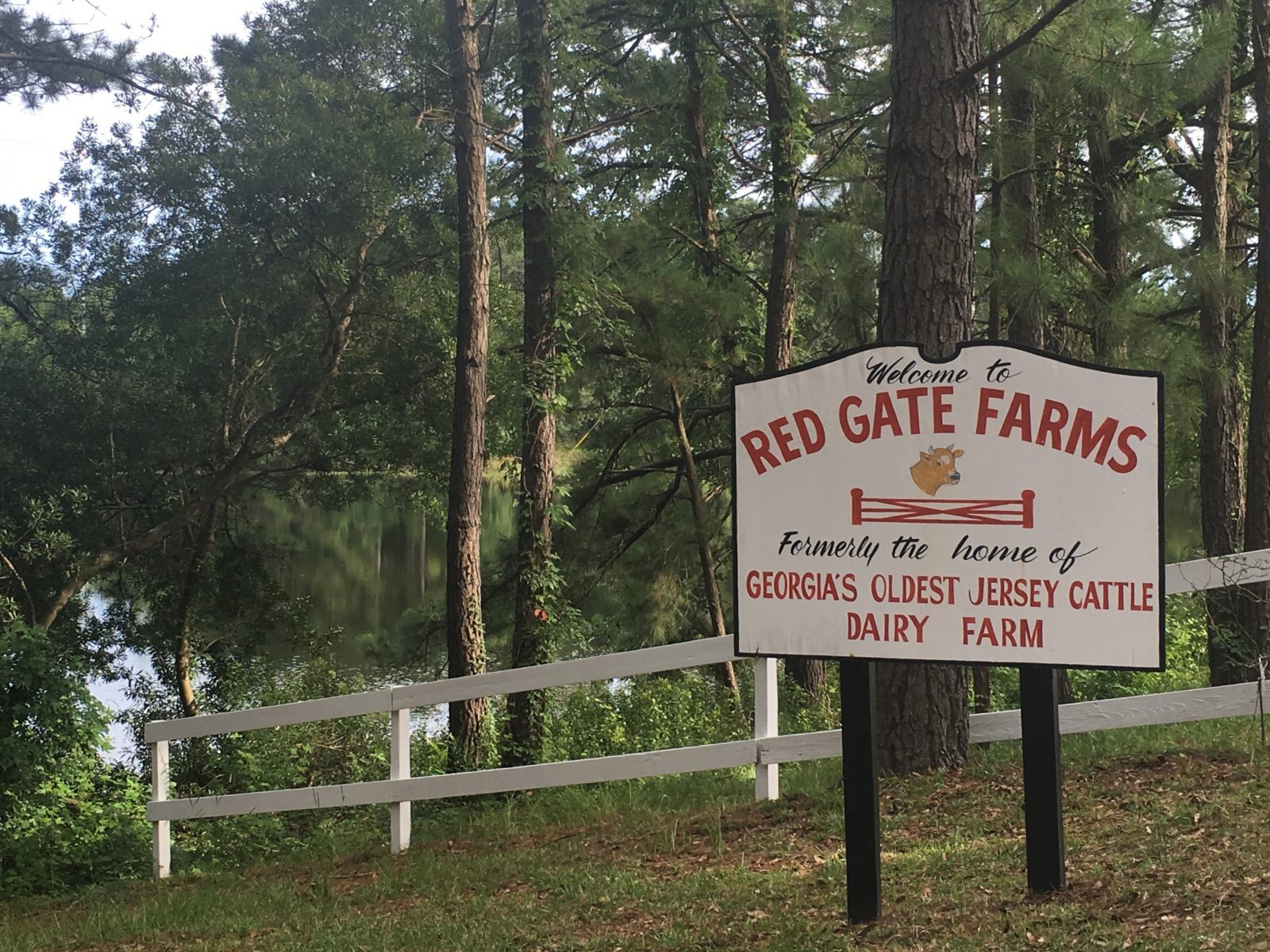 Red Gate Farms (Savannah, The Lady is a Tramp