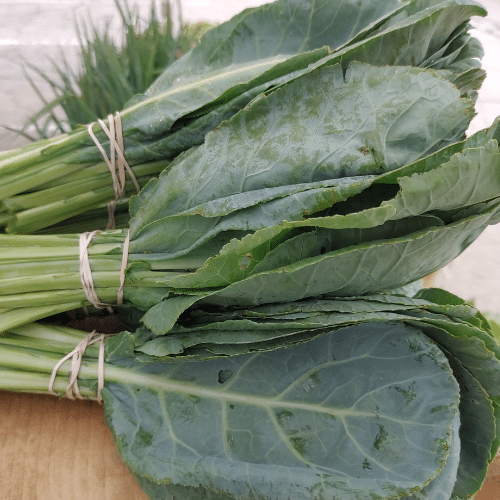 Collards The Land Connection