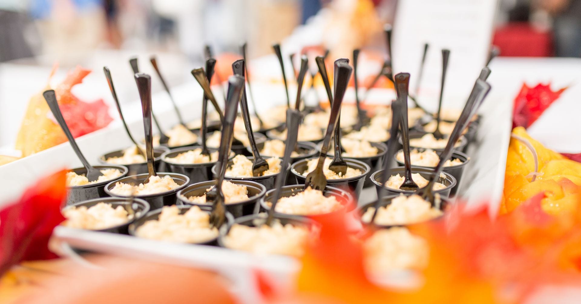 Mac And Cheese Festival Columbus 2023 Mac & Cheese Festival To Help Fund Cancer Research