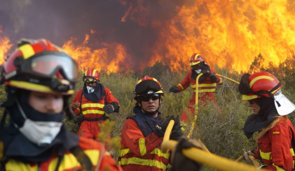 60 of this year's forest fires caused by humans The