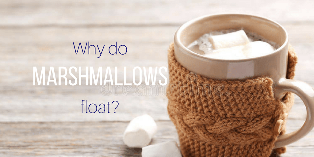 Why Do Marshmallows Float? The LearnEd Teacher