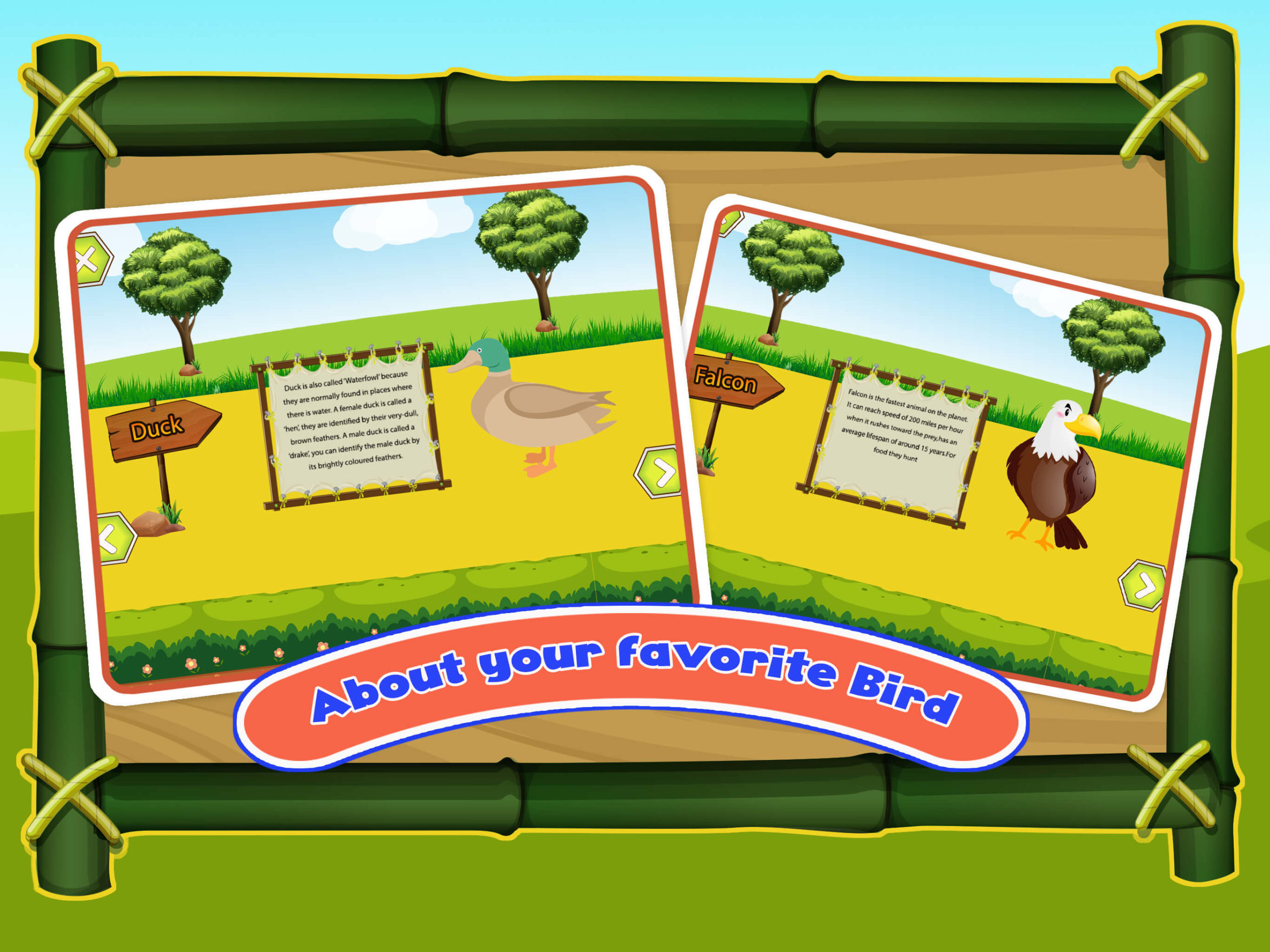 Birds Park Bird Facts for Kids The Learning Apps