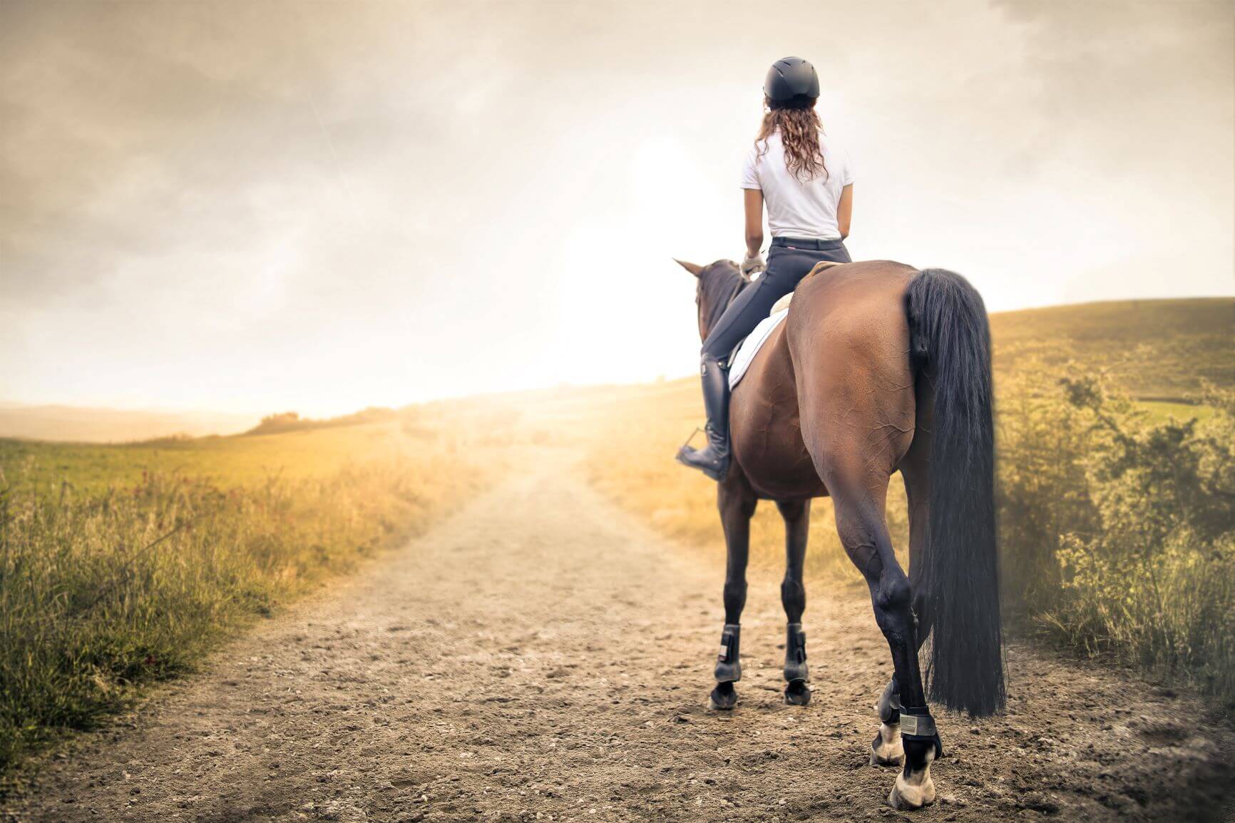 7 Excellent Health And Wellbeing Benefits Of Horse Riding - Gel French Manicure