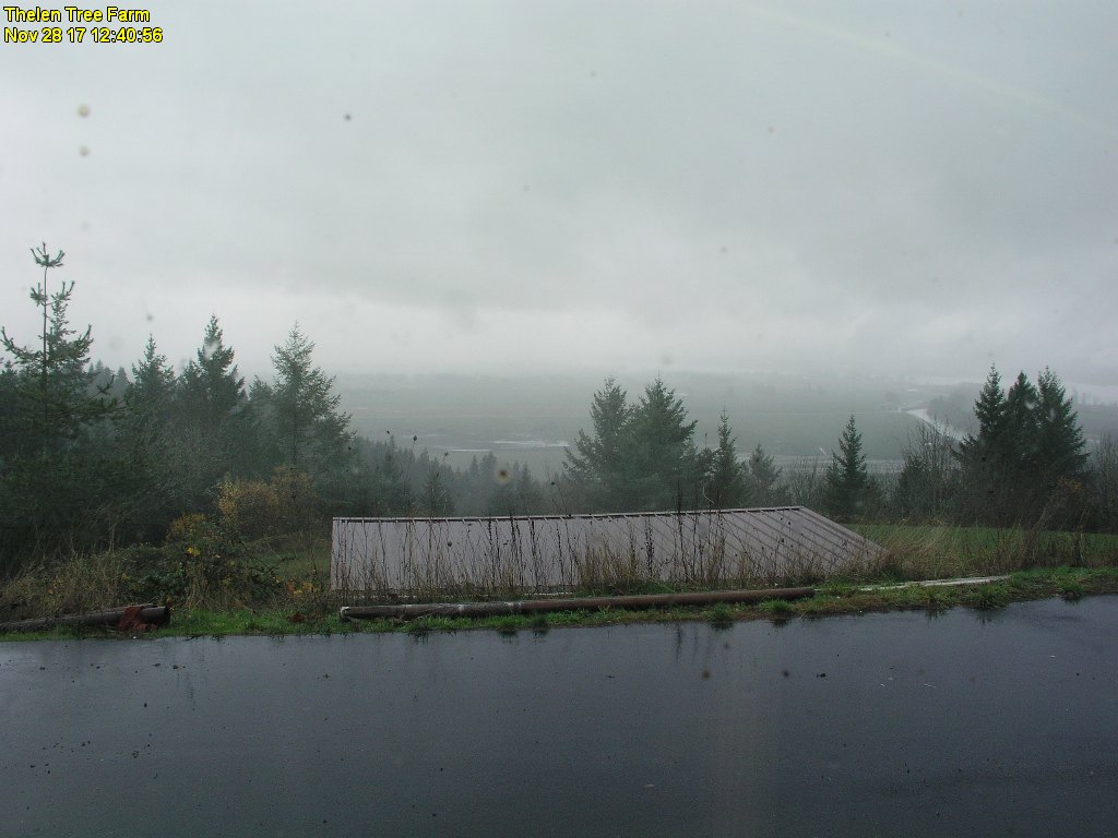 Woodland Washington cam View From The Thelen Tree Farm.
